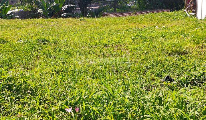 Tanah Pinggir Jalan Propinsi Di Pusat Kota Jember 1