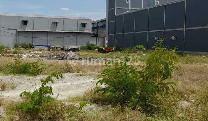 Dijual Murah Tanah Posisi Hook Dibawah Harga Pasaran di Citra 5 Kampung Prepedan Cengkareng, Jakarta Barat Dijual Murah Tanah Posisi Hook Dibawah Harga Pasaran di Citra 5 Kampung Prepedan Cengkareng, Jakarta Barat