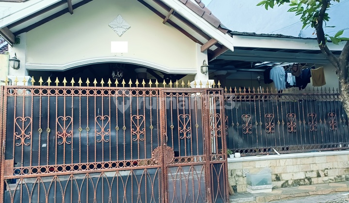 Rumah Luas Strategis Harga Cukup Murah di Taman Royal, Tangerang Rumah Luas Strategis Harga Cukup Murah di Taman Royal, Tangerang