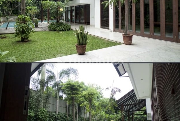 Rumah Asri Bagus & Bebas Banjir Kemang Rumah Asri Bagus & Bebas Banjir Kemang