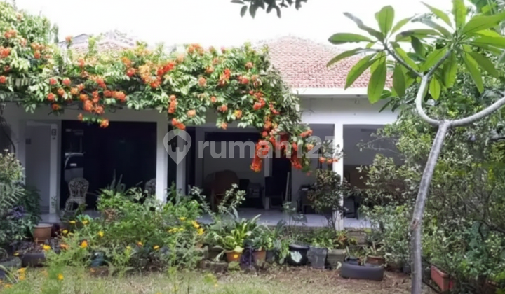 For Sale House in South Kemang