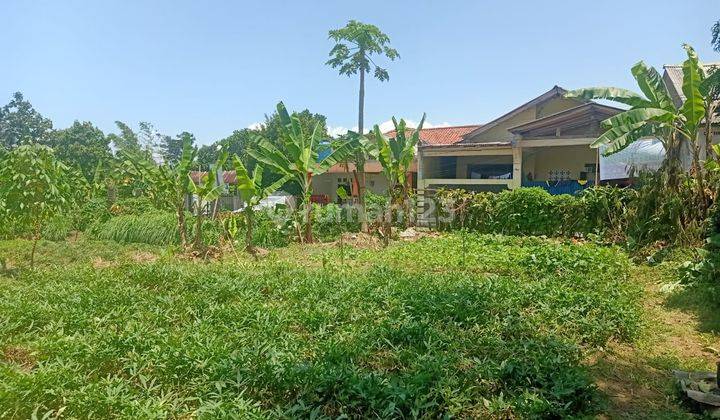 Tanah Dijual Cepat Murah Dekat Bnr Bogor Dan Jungle Bogor 1