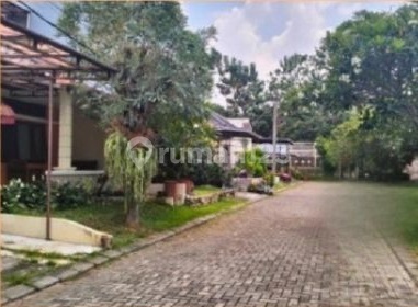 Comfortable and Scenic Bali-Themed Residence in Depok 2
