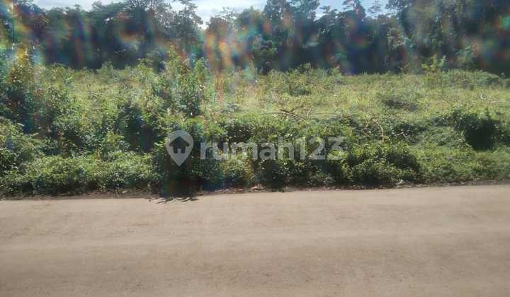 Tanah di Raguklampitan, Batealit, Butuh Dijual Segera Tanah di Raguklampitan, Batealit, Butuh Dijual Segera