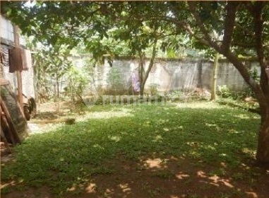 Asri House with Spacious and Comfortable Yard in Cibinong Bogor 2