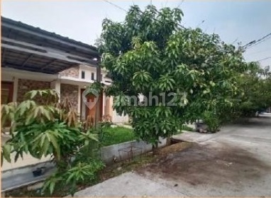 Modern Minimalist 1-Story House in North Tambun 2