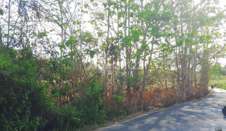 For Sale Rare Premium Land Super Cheap In Ungasan. South Kuta 1