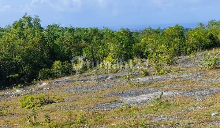 Cheap Land in Kampial Nusa Dua with Beach View Cheap Land in Kampial Nusa Dua with Beach View