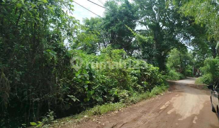 Strategic and Affordable Land in Gianyar Near Kaba Beach Strategic and Affordable Land in Gianyar Near Kaba Beach