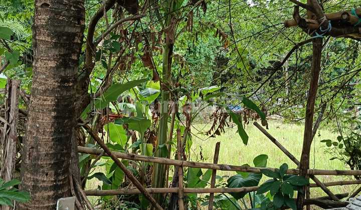 Cheap Land Ready to Build in Taman Griya Jimbaran Cheap Land Ready to Build in Taman Griya Jimbaran