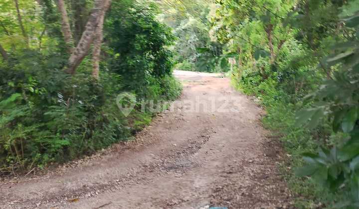 Strategic Land Super Cheap In Kutuh South Kuta