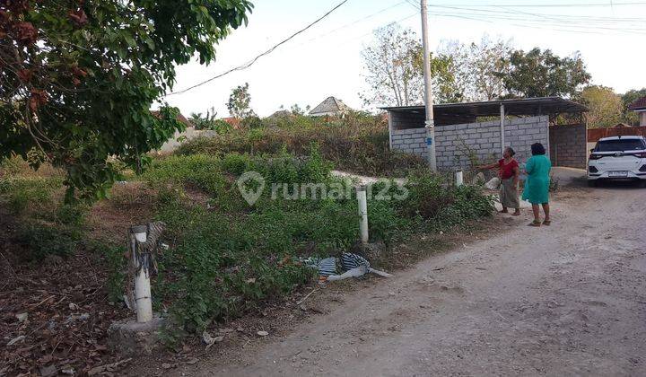 For Sale Super Cheap Premium Land In Jimbaran 1