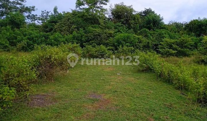 Premium and Strategic Land in Balangan Near the Beach