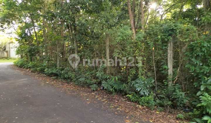 Tanah Murah 2 Hektar di Pecatu Dekat Pantai