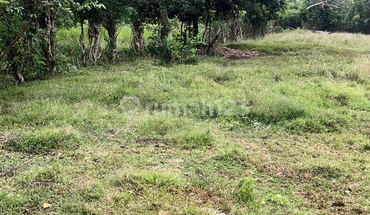 Premium Land In Pecatu Near Bulgari Hotel