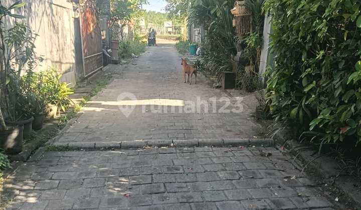 Affordable Premium Land in Kedonganan