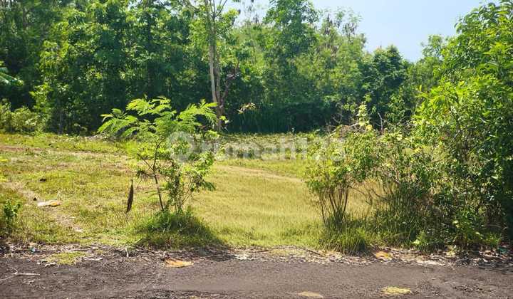 Strategic Land in Pecatu Near Savaya Beach Club Strategic Land in Pecatu Near Savaya Beach Club