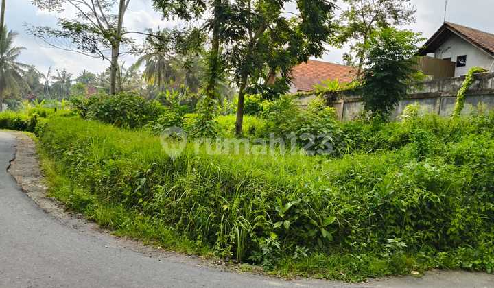 Land For Lease In Ubud Pejeng Kawan Gianyar