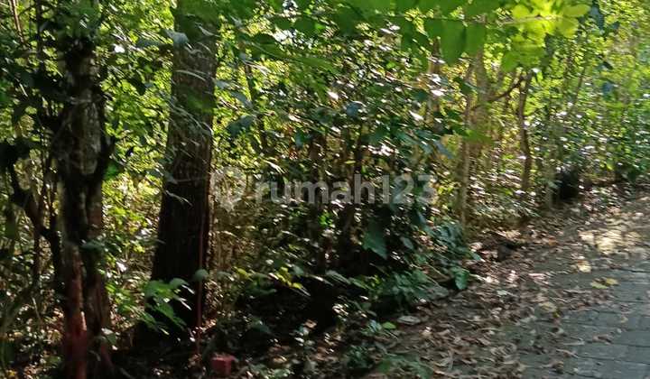 Land For Lease 1.8 Hektar Di Pecatu Dekat Padang2 Beach