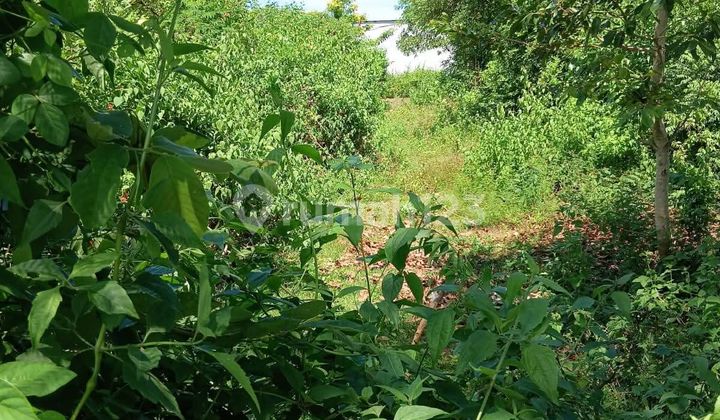 Tanah Premium Siap Bangun di Bali Cliff Ungasan