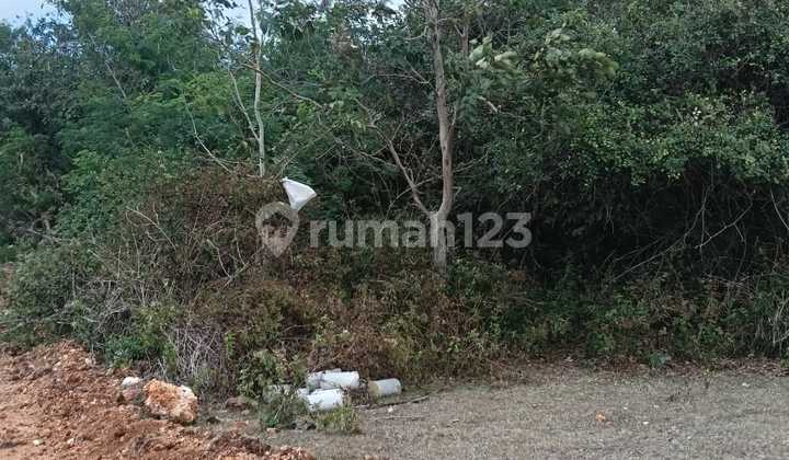 Tanah Strategis Siap Bangun Di Kutuh .kuta Selatan Tanah Strategis Siap Bangun Di Kutuh .kuta Selatan