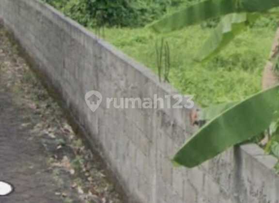 Premium Strategic Land in Kerobokan Near Canggu Premium Strategic Land in Kerobokan Near Canggu