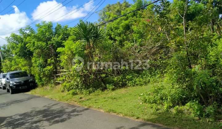 Lahan Premium Di Benoa Nusa Dua Sawangan 