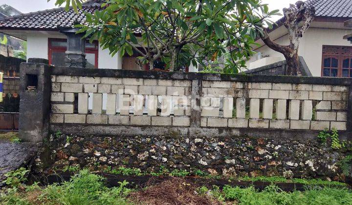 RUMAH MINIMALIS DI UNGASAN 1