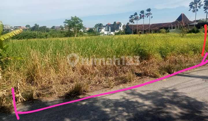 Tanah Premium Super Murahdi Canggu Berawa