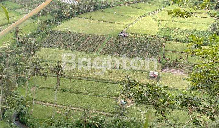 TANAH DENGAN PEMANDANGAN RICE TERRACE DI KARANGASEM 1