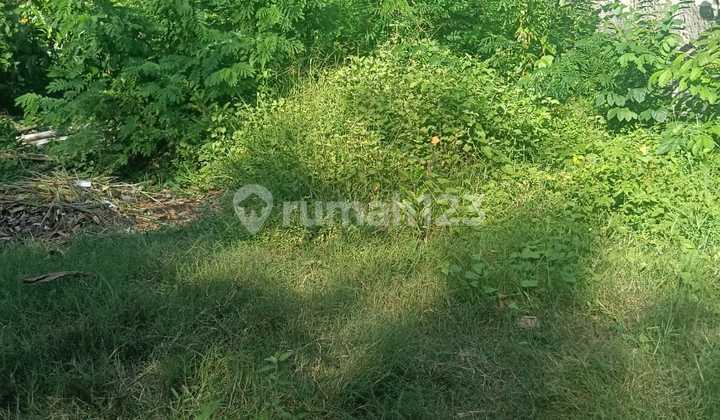 Affordable Premium Land in Kedonganan