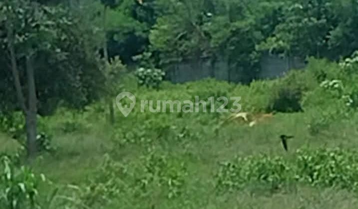 Tanah Kavlingdan Strategis di Kedonganan Tanah Kavlingdan Strategis di Kedonganan