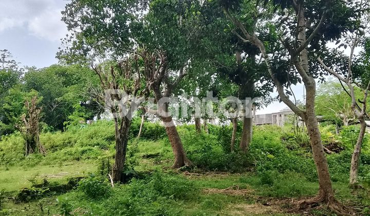Land For Lease At Bukit Musesa Pecatu Sunset View Land For Lease At Bukit Musesa Pecatu Sunset View