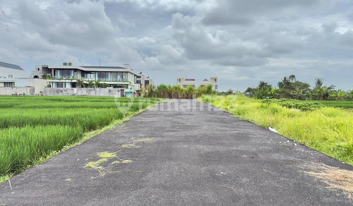 Land For Lease Super Premium in Cemagi Near the Beach Land For Lease Super Premium in Cemagi Near the Beach