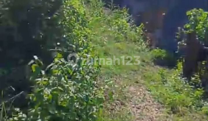 Tanah Murah View Pantai Di Nusa Dua Jln Gedong Seri Tanah Murah View Pantai Di Nusa Dua Jln Gedong Seri