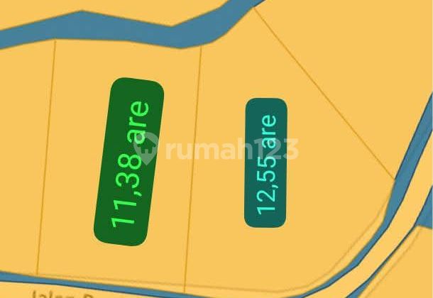 Super Cheap Premium Land in Balangan Near the Beach Super Cheap Premium Land in Balangan Near the Beach