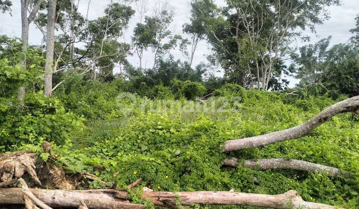 Strategic Land Super Cheap In Kutuh South Kuta