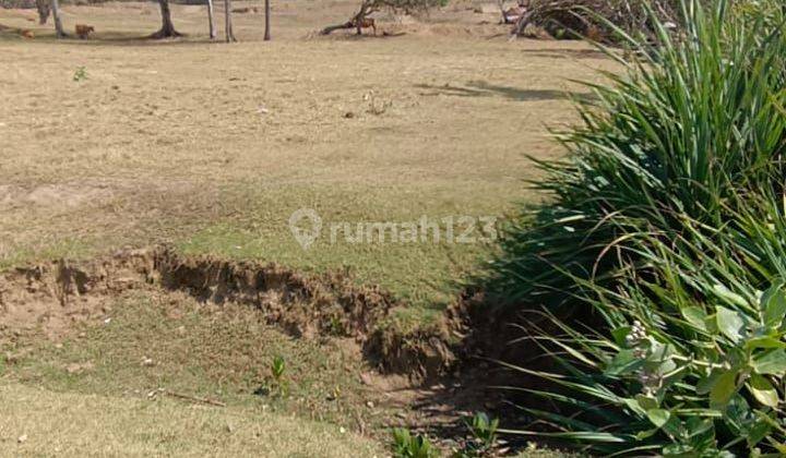 Di Jual Tanah Kavling Murah Di Pinggir Bibir Pantai Saba Gianyar  2