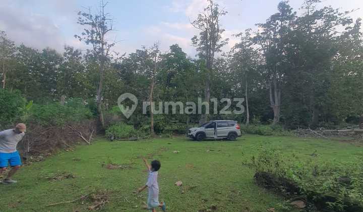 Tanah Strategis Siap Bangun Di Jimbaran Puri Gading Tanah Strategis Siap Bangun Di Jimbaran Puri Gading