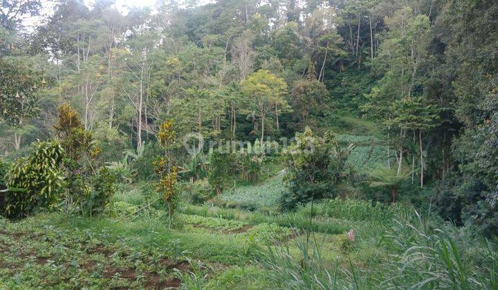 Di Jual Tanah Murah Di Baturiti.tabanan