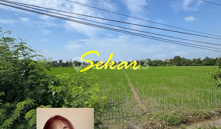 For Sale Tanah Komersial Pemalang Akses Mudah Dekat Pintu Tol