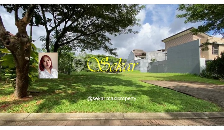 Green Cove Plot Bsd On The Main Boulevard