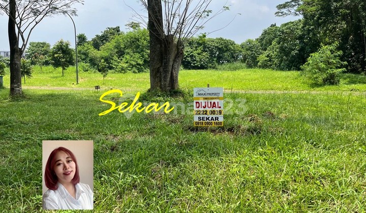 For Sale Vermont Parkland BSD Lot Position Lucky Legal For Sale Vermont Parkland BSD Lot Position Lucky Legal