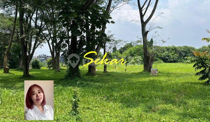 For Sale Vermont Parkland Bsd Plot in Huk