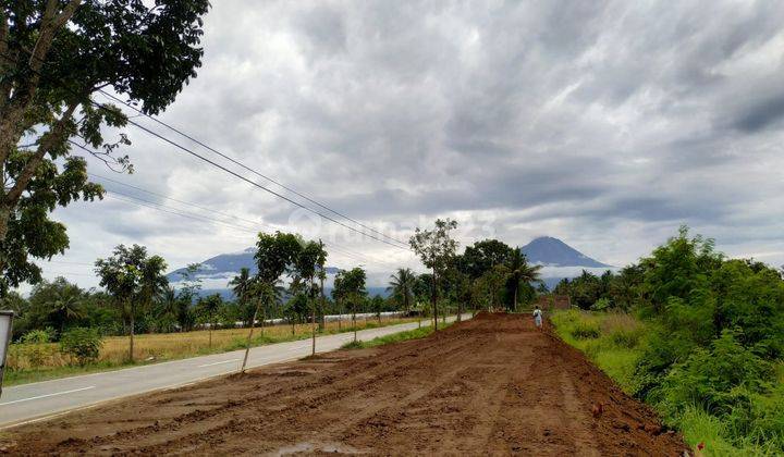 Kavling Ruko Pinggir Jalan Arteri Blabak Mungkid Utara Pasar 2