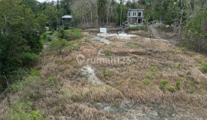 Tanah Untuk Perumahan Jalan Wates Km. 8 Balecatur Dekat Ciputra 2