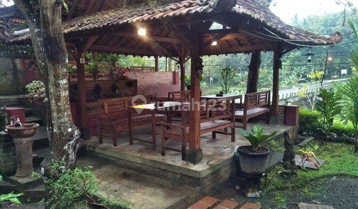 Resto Etnik Dan Ramai Pinggir Jalan Nanggulan Mendut Luas 2490m2 1