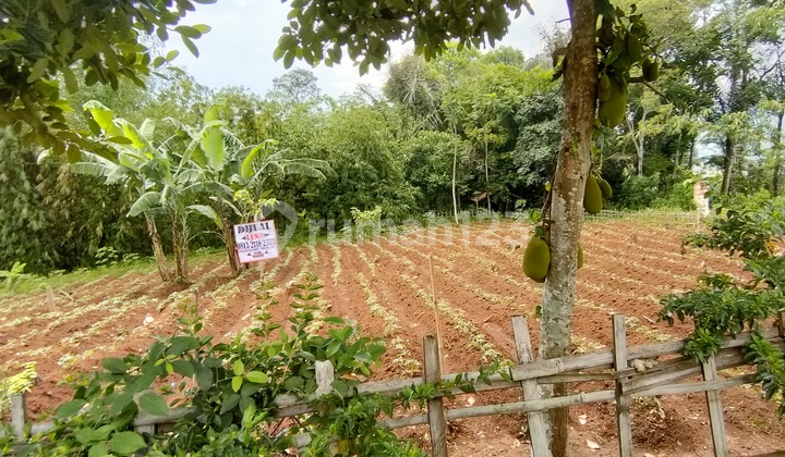 Cheapest Rare Land in Parakan Muncang Suitable for Subsidized Housing, Roadside Location Cheapest Rare Land in Parakan Muncang Suitable for Subsidized Housing, Roadside Location