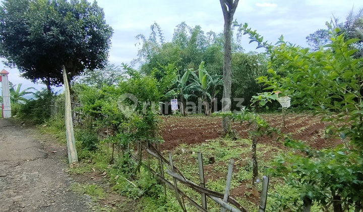 Cheapest Rare Land in Parakan Muncang Suitable for Subsidized Housing, Roadside Location Cheapest Rare Land in Parakan Muncang Suitable for Subsidized Housing, Roadside Location