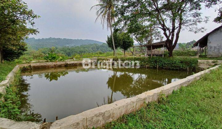 Tanah dan Kolam Ikan Tenjolaya 2